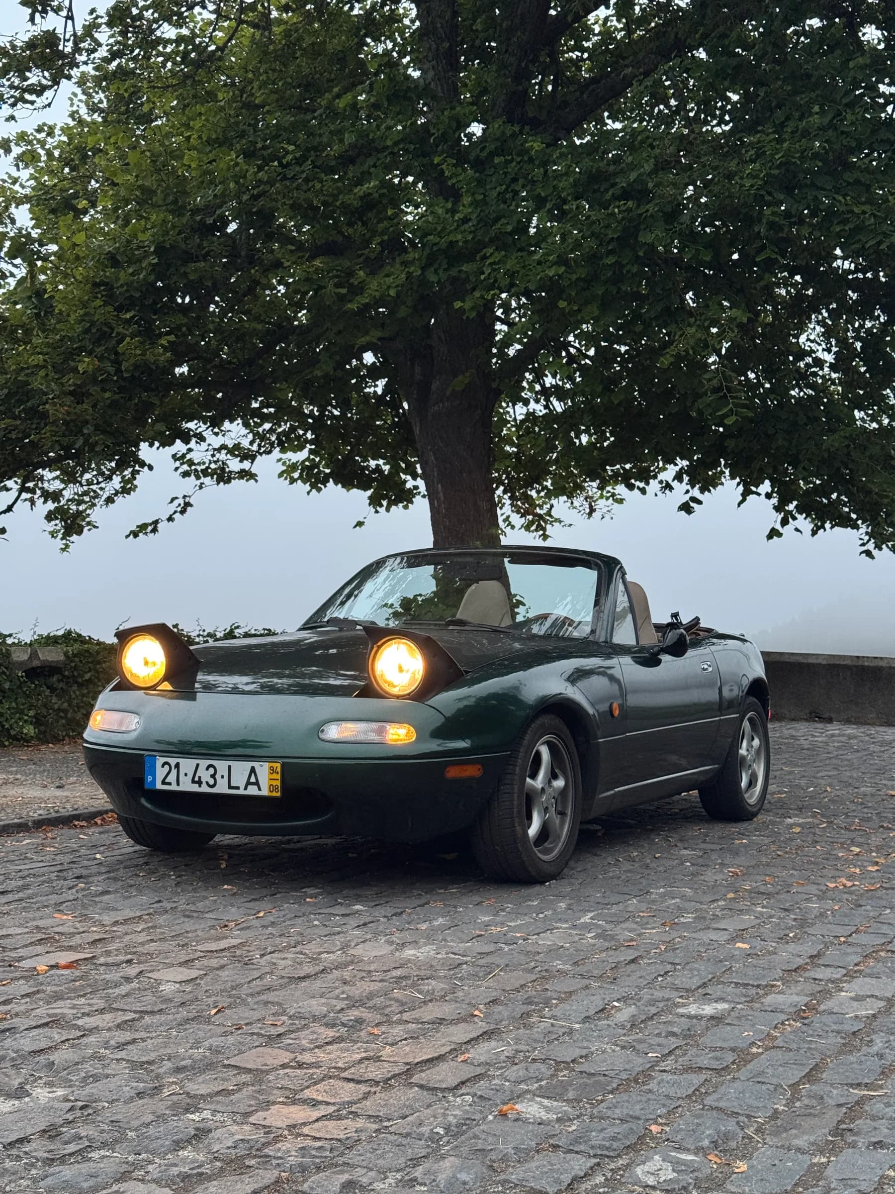 MX-5 de três quartos à frente, com os faróis acesos, ao anoitecer, debaixo de uma árvore